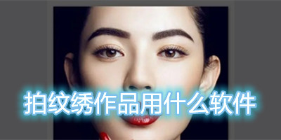 拍纹绣作品用什么软件