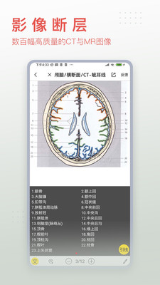 3Dbody解剖学