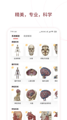 人体解剖3D