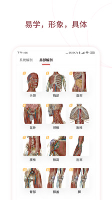 人体解剖3D