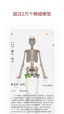 人体解剖3D