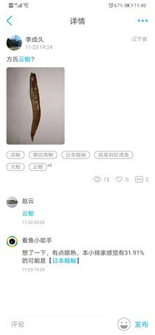 拍照识鱼客户端