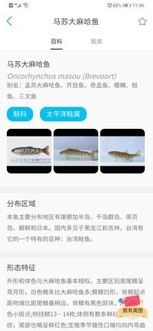 拍照识鱼客户端