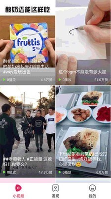 猫咪视频2019iphone下载