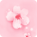 桃花直播app下载