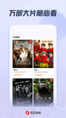 西瓜视频app安装官方版