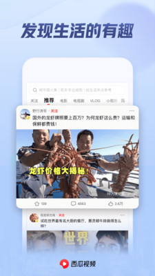西瓜视频下载安卓手机