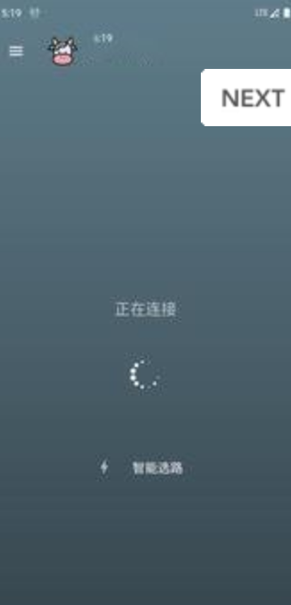 小牛加速器