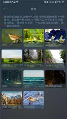 睡眠小镇
