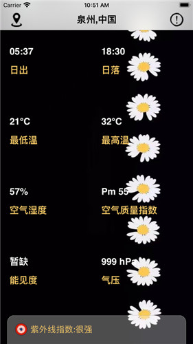 小雏菊天气