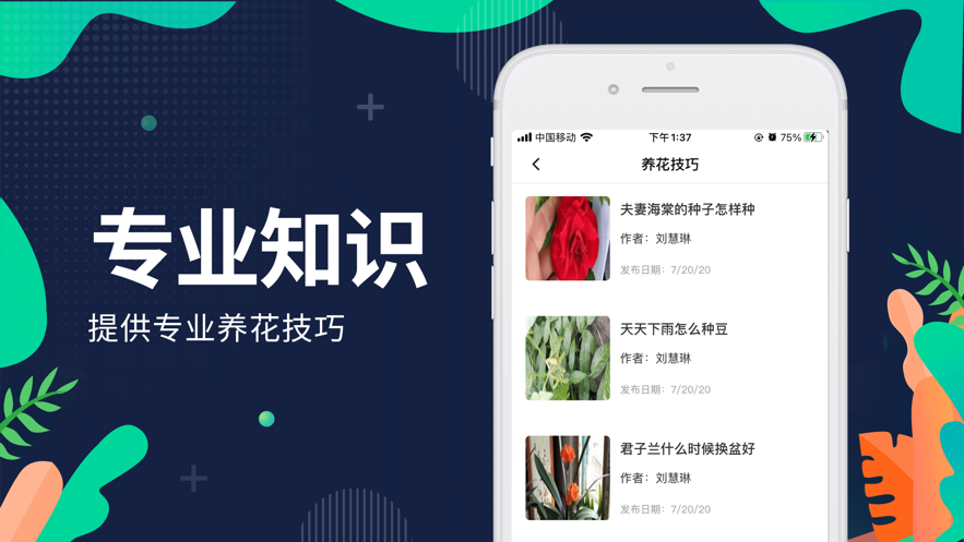 鲸惠卡