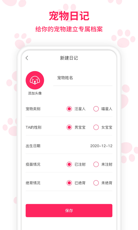 兔子语言翻译器