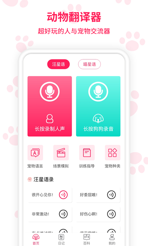 兔子语言翻译器