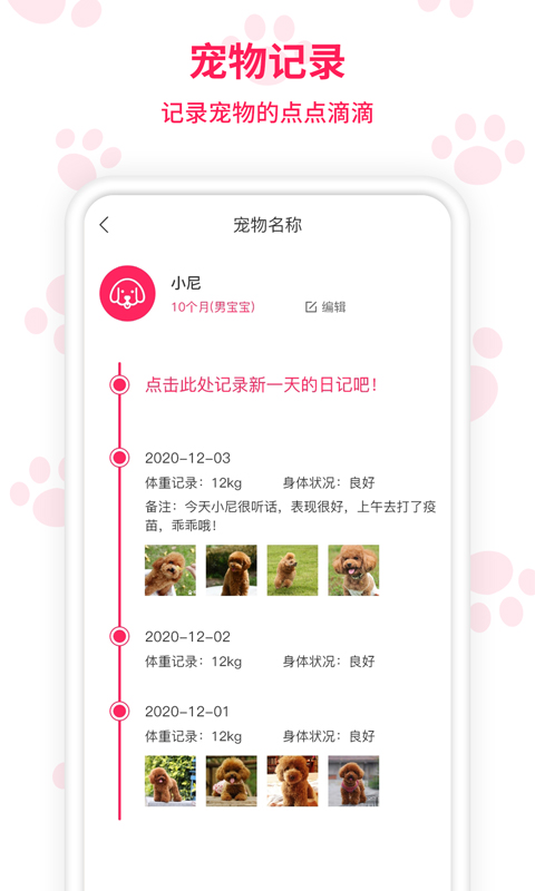 兔子语言翻译器