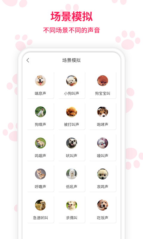 兔子语言翻译器