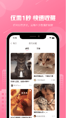 宠物助手pet