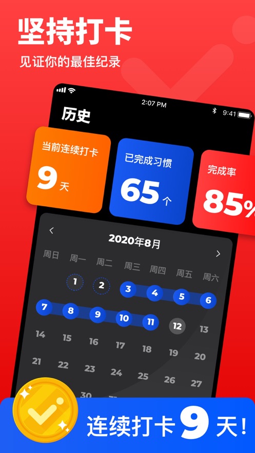 习惯日记