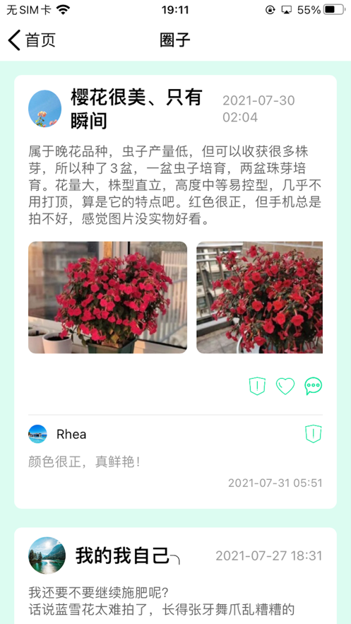田半(植物养护)