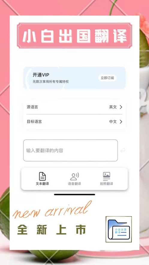 小白出国翻译