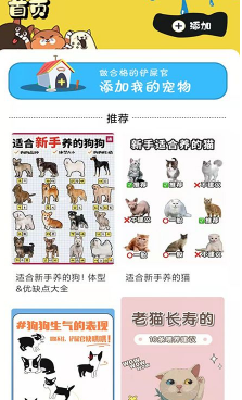 肥猫看看app