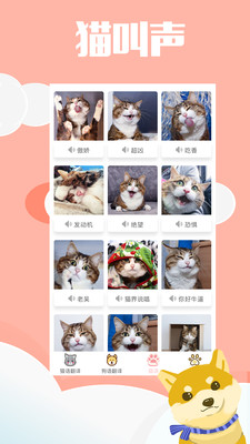 咪呜app官方最新版
