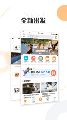 K9犬网app软件最新版