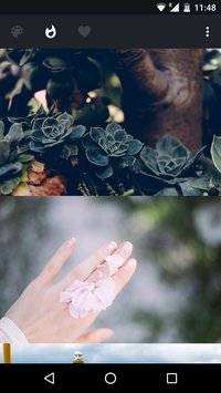 Palette软件下载