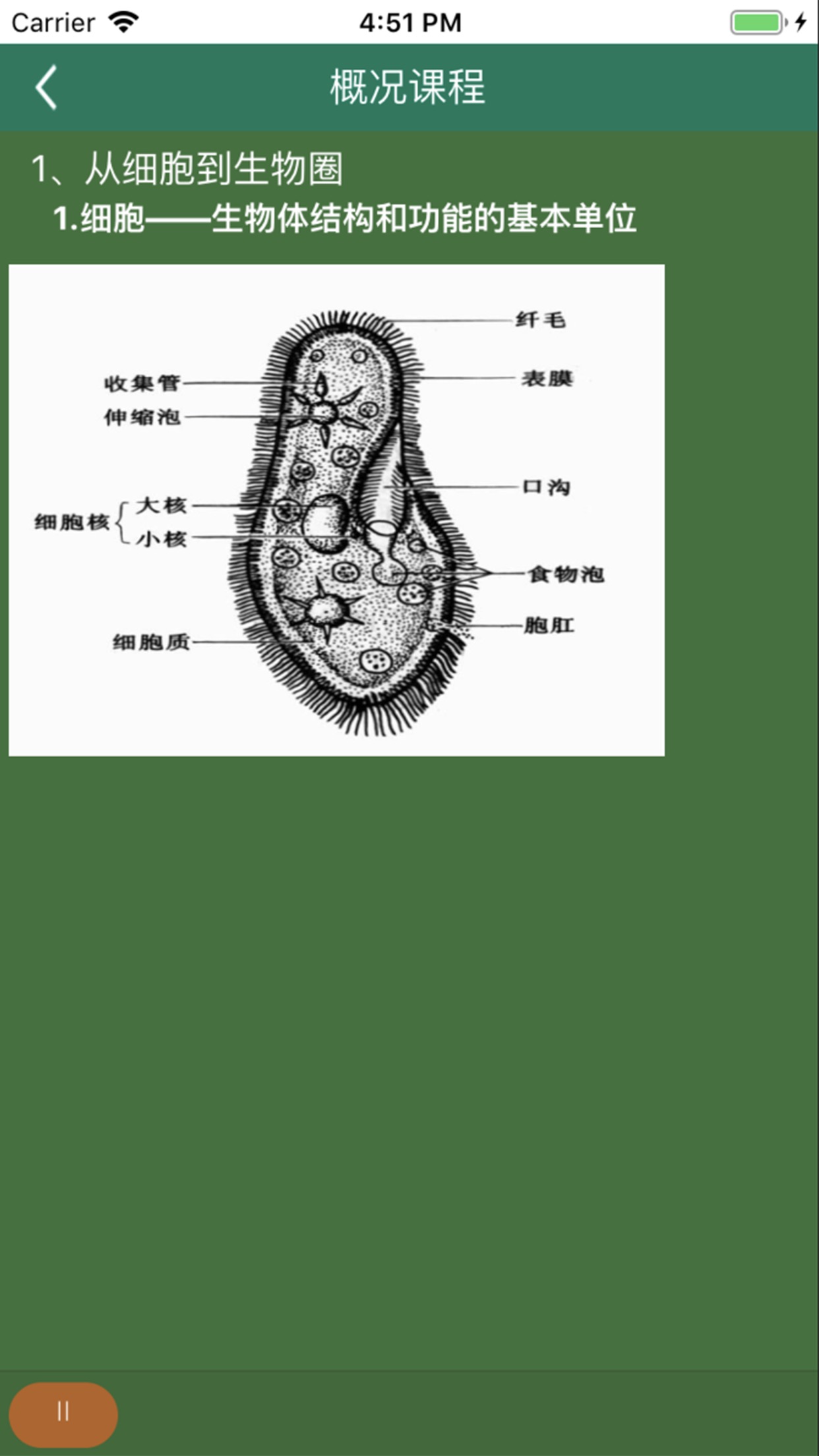 松鼠高中生物app安卓官方版