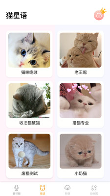 翻译猫语软件安卓官方版