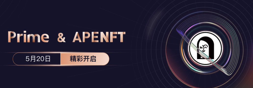 NFT龙头币交易所官方最新版