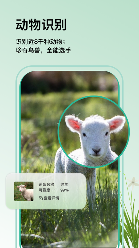 万物识图安卓最新版