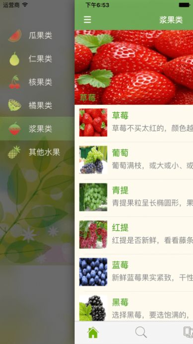 爱吃水果app最新版