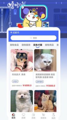 噜哆哆宠物安卓最新版