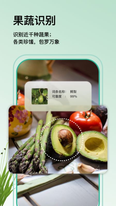 万物识图官方客户端正式版