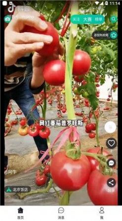 彼方短视频正式版app下载图片1