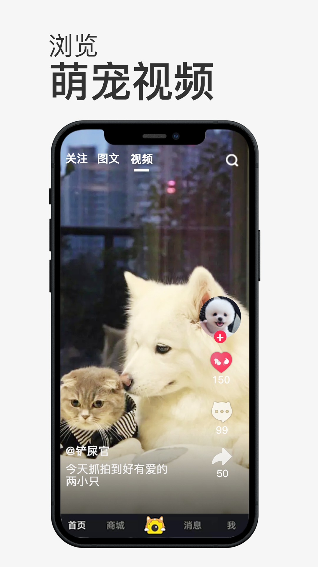 小宠书App手机版