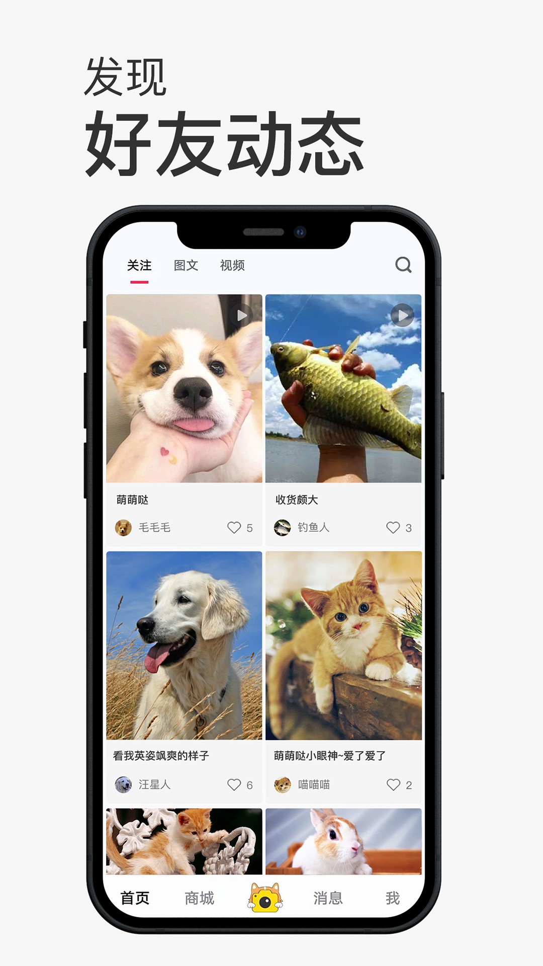 小宠书App手机版