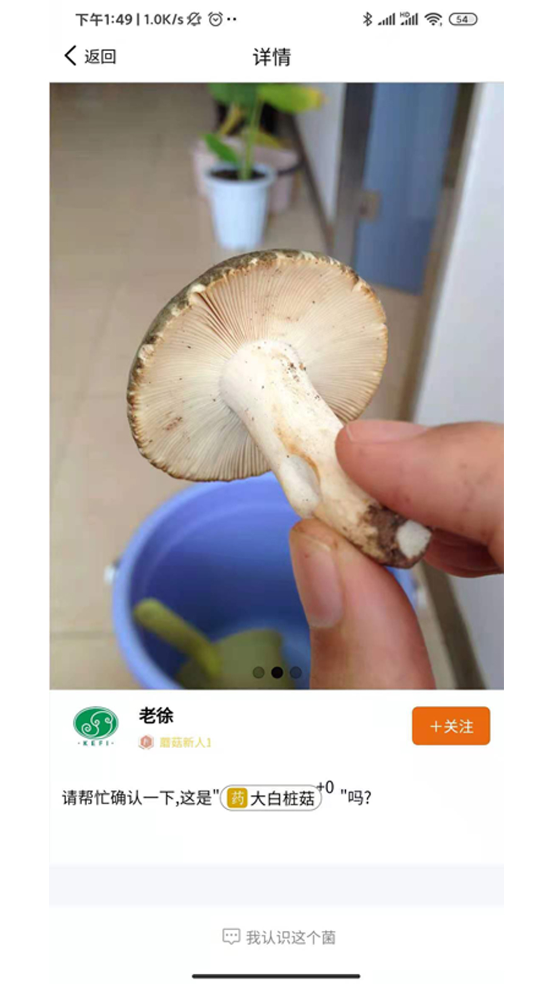 菌窝子APP最新版