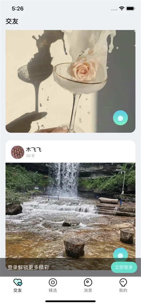 梨花之夜app官方苹果版