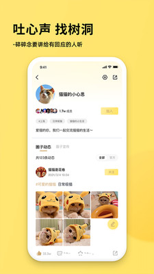 奶酪社交软件正版