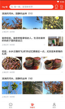 Hey喵app安卓无广告版