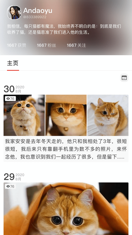 宠年年app软件版
