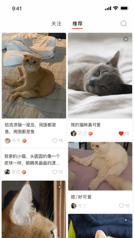 宠年年app安卓首发版