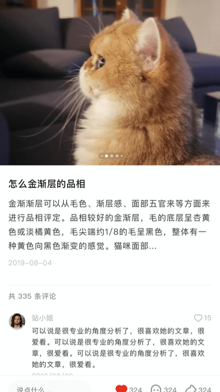 宠年年app安卓首发版