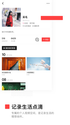 vue vlog软件中文版