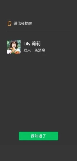 微信极速版精简版