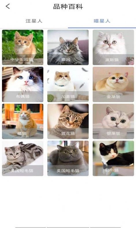 宠物知识全书app手机版图片1
