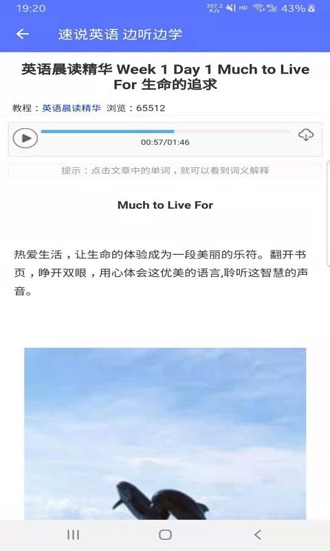 速说英语手机免费版