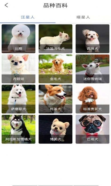 宠物知识全书官方正版
