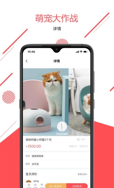 宠传奇APP
